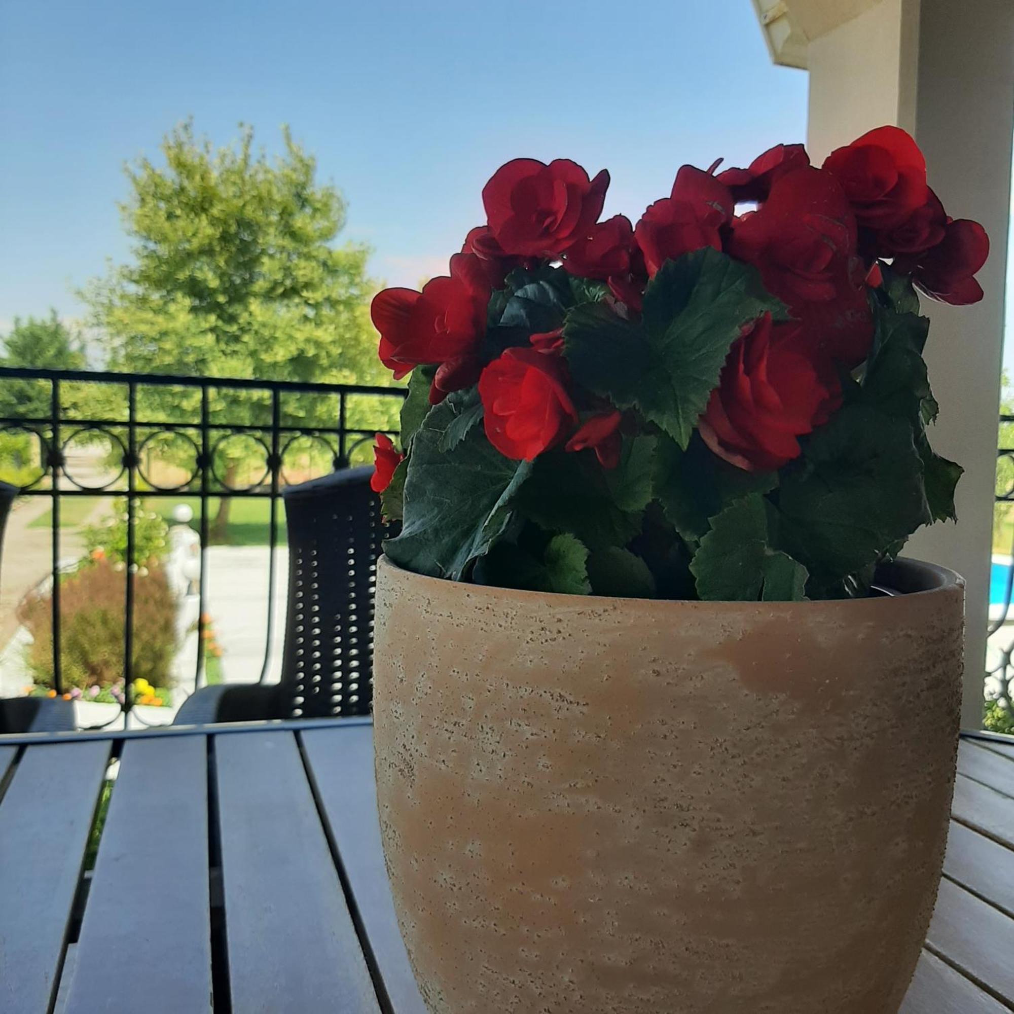 Αρχοντικό Παπανικολάου Vila Ligaria  Exterior foto