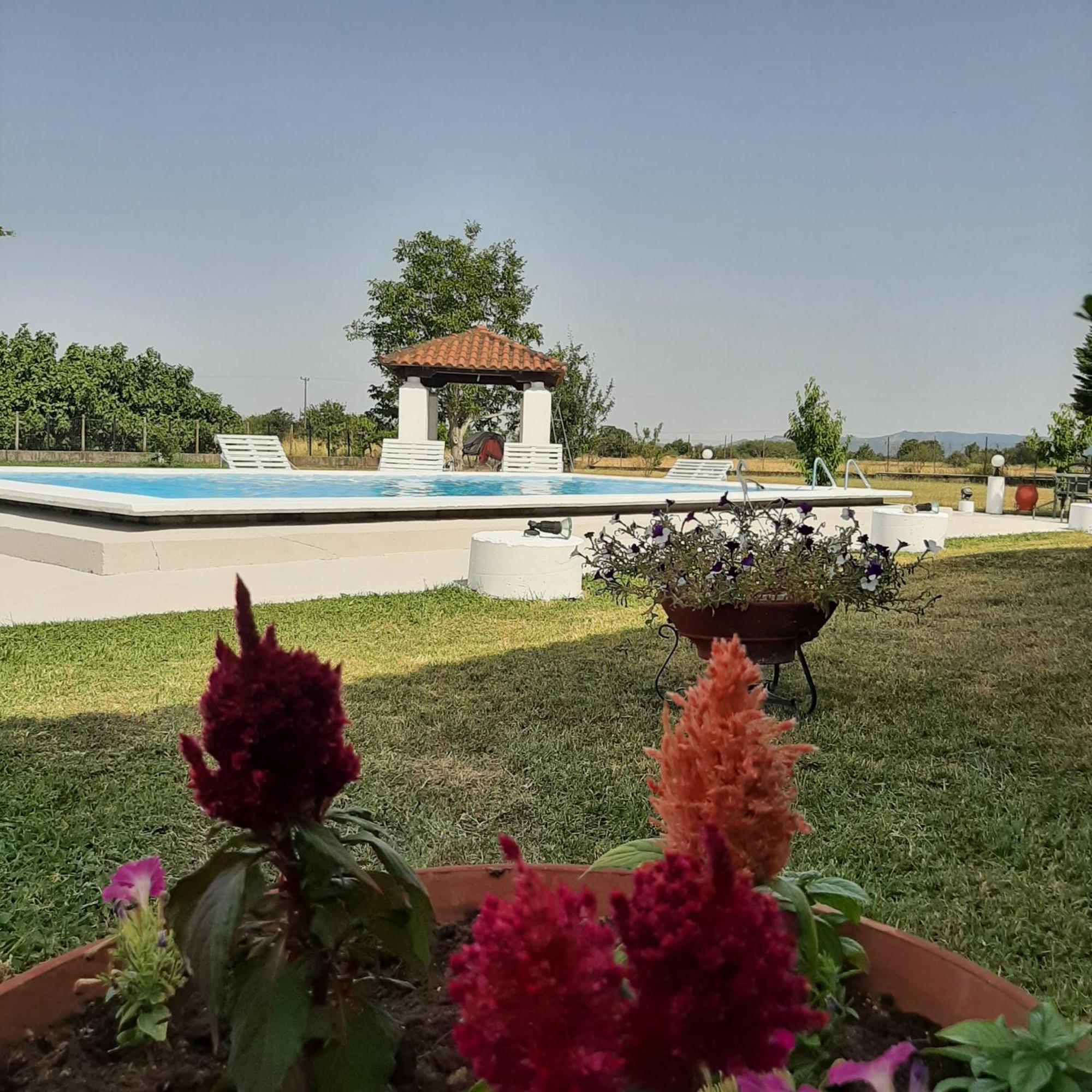 Αρχοντικό Παπανικολάου Vila Ligaria  Exterior foto